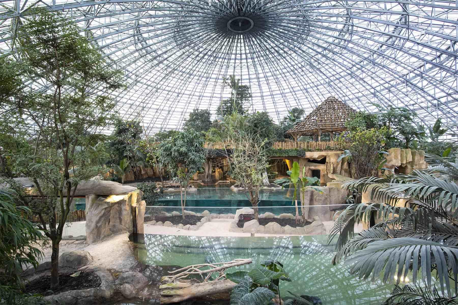 Beauval Zoo Overview