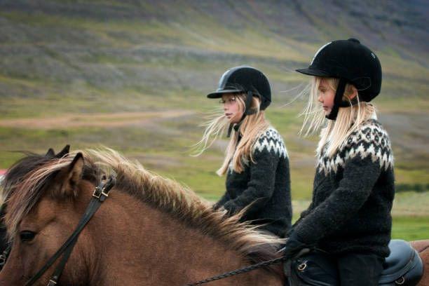 Icelandic Horseback Riding Plus Secret Lagoon