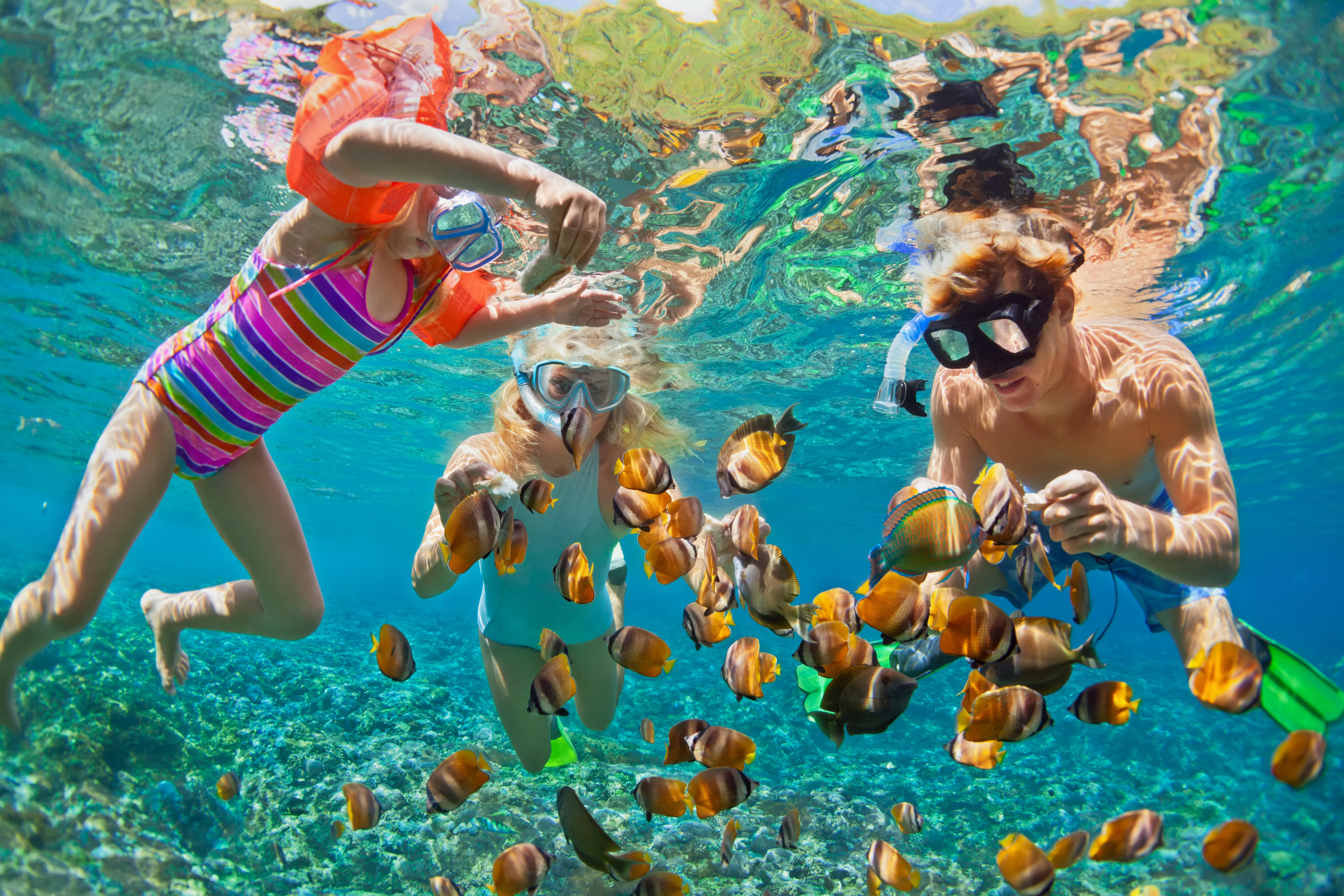 Hop on a fun snorkeling experience at Pulau Kentut