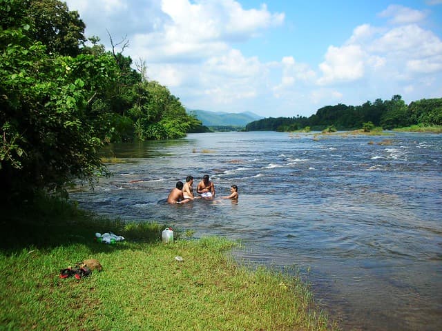 Indulge in Bird Watching