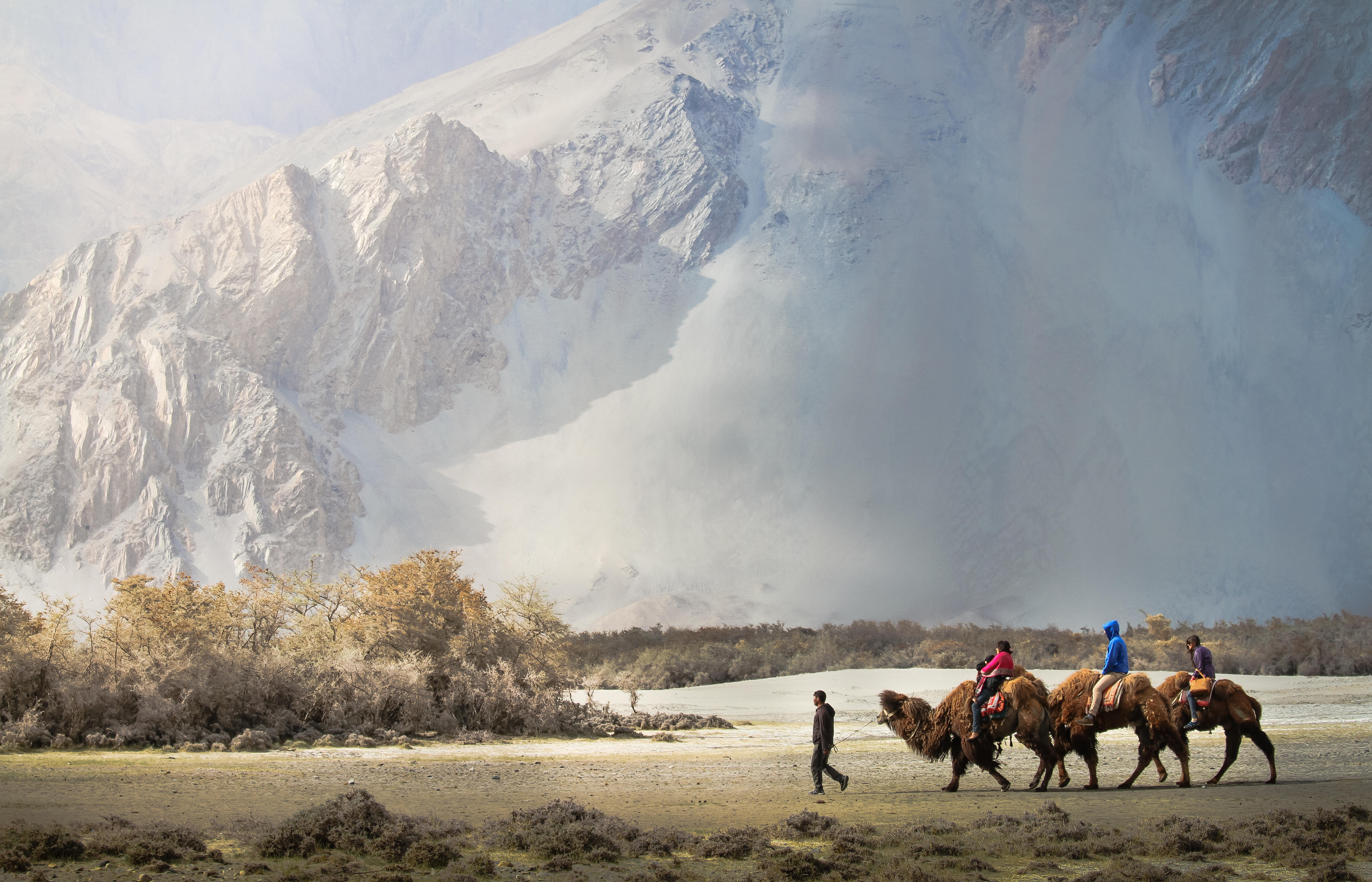 Nubra Valley Tour Packages | Upto 40% Off