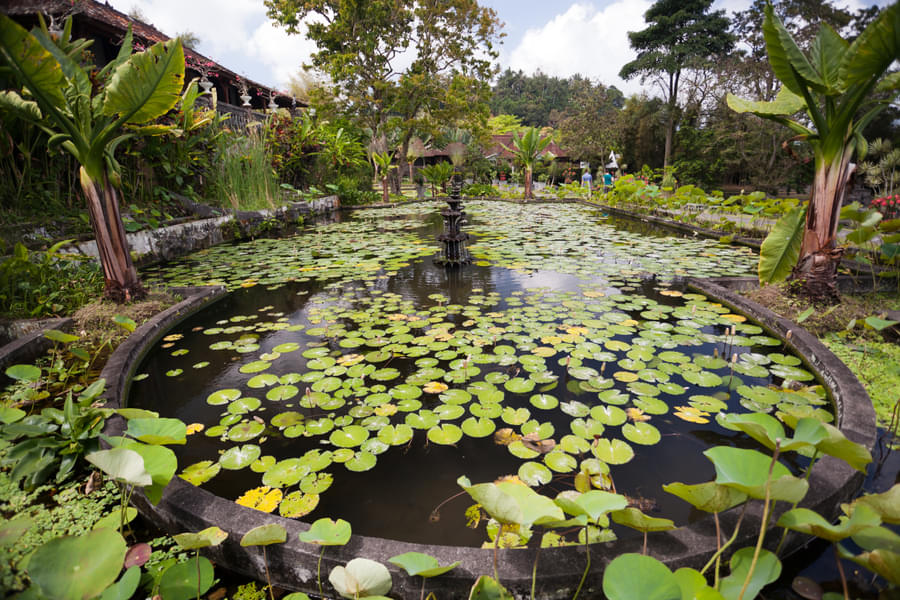 Ponds inside the Bali Birds Park