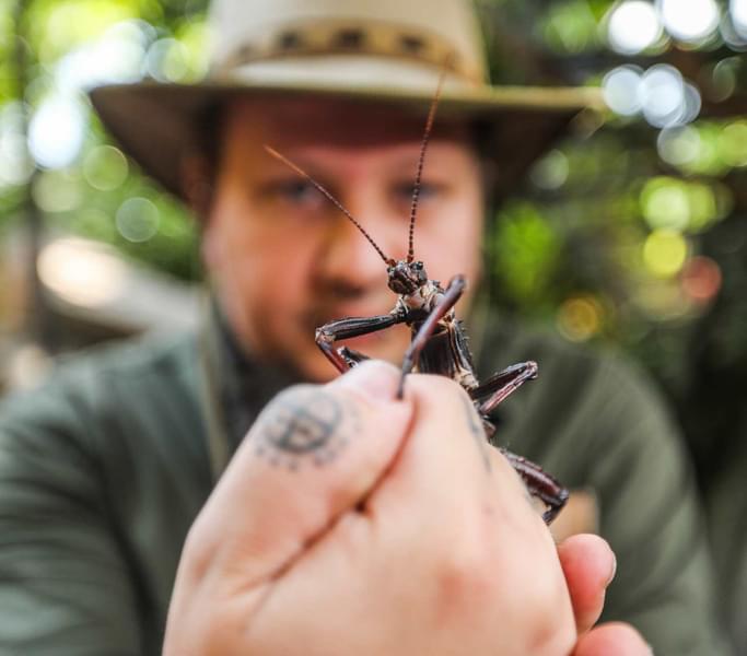Visit the Expedition Jungle to see distinctive insects in the aquatic museum