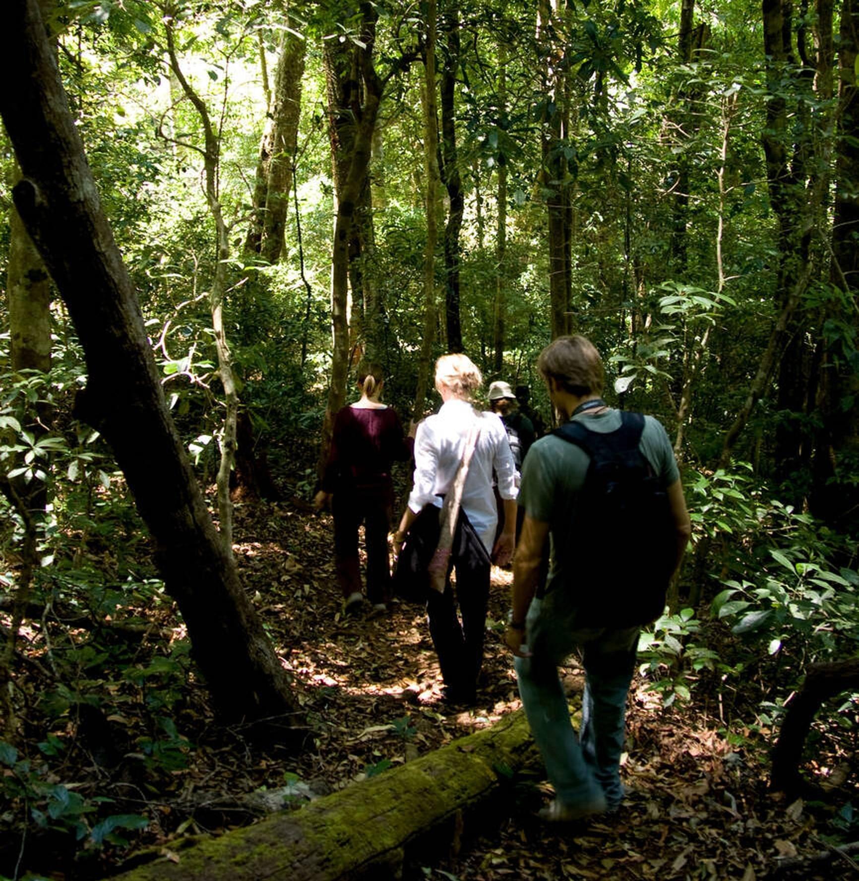 Trek Through the Scenic Trails