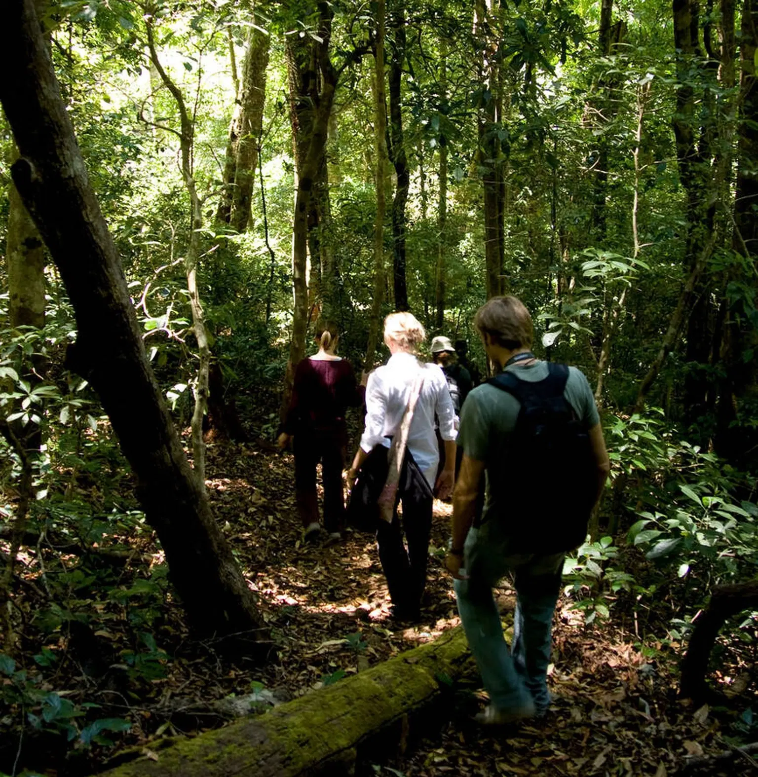 Trek Through the Scenic Trails