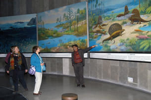 Gain deeper perspectives with a knowledgeable guide by your side