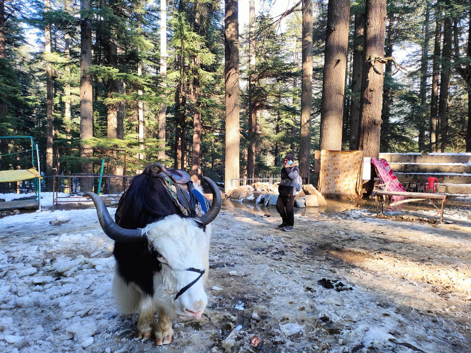 Photo from sonali  's trip