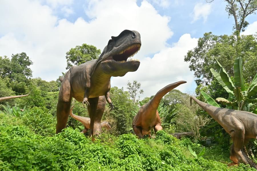 Get awestruck by visiting the Dinosaur Enconter