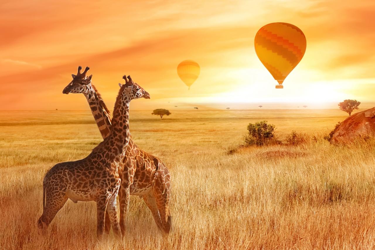 Masai Mara National Reserve