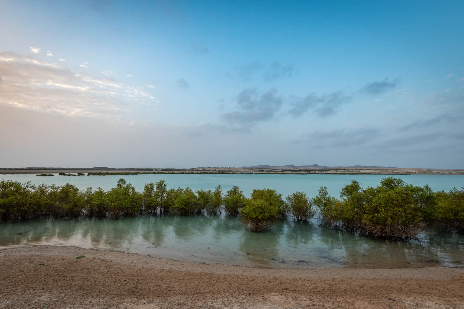 Sir Bani Yas Island, <em>Abu Dhabi</em>