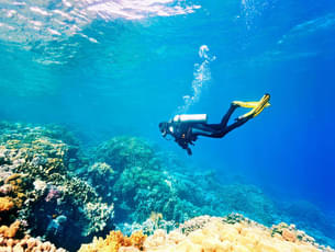 Scuba Diving in Gold Coast