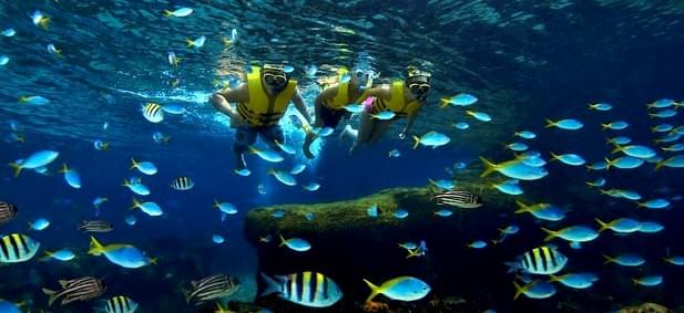 Rainbow Reef