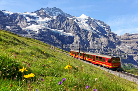 Activity & SightSeeing Image