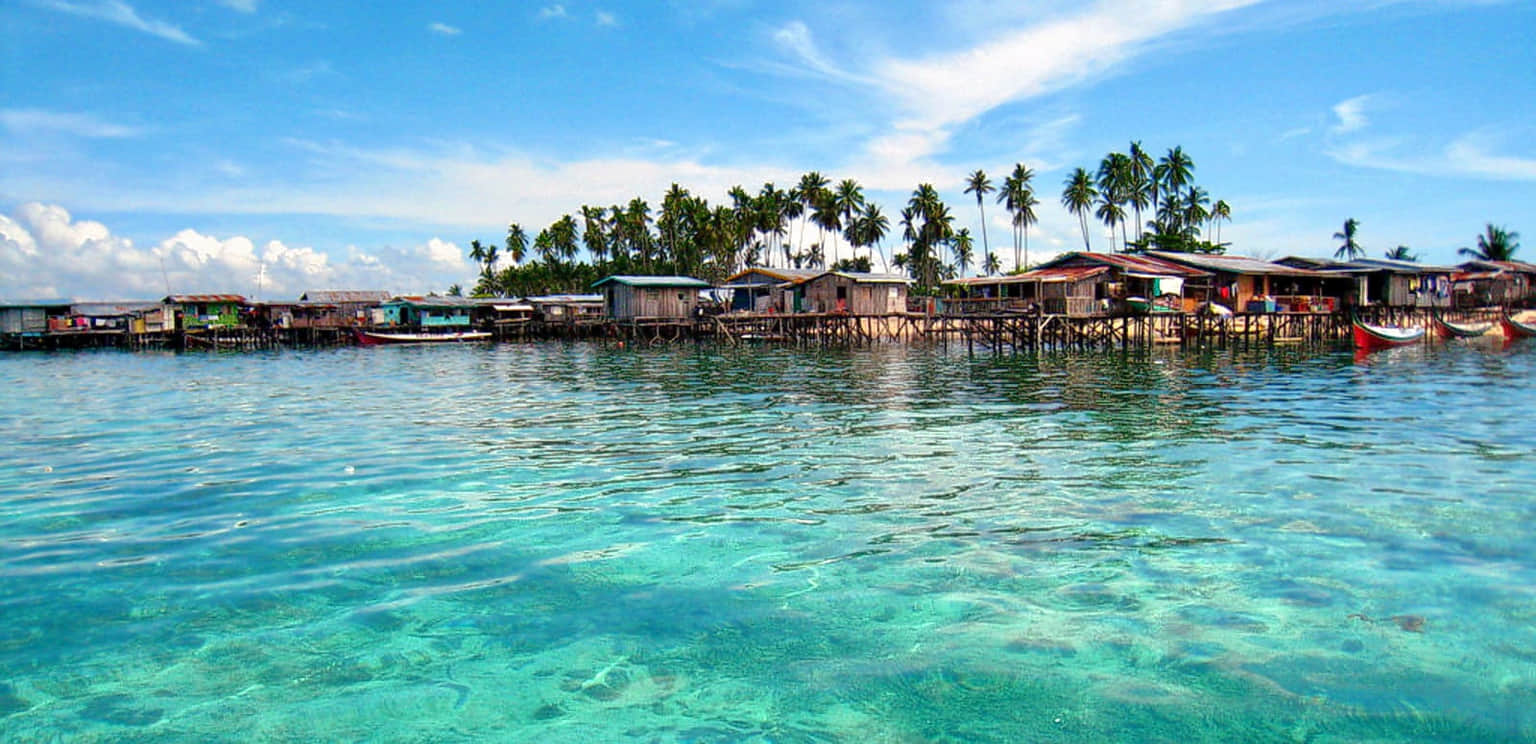 Borneo Kellybays, <em>Sabah</em>