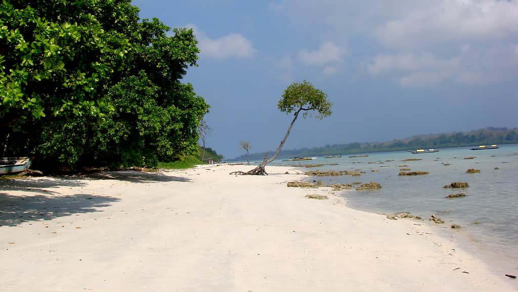 Relax on Pristine Beaches