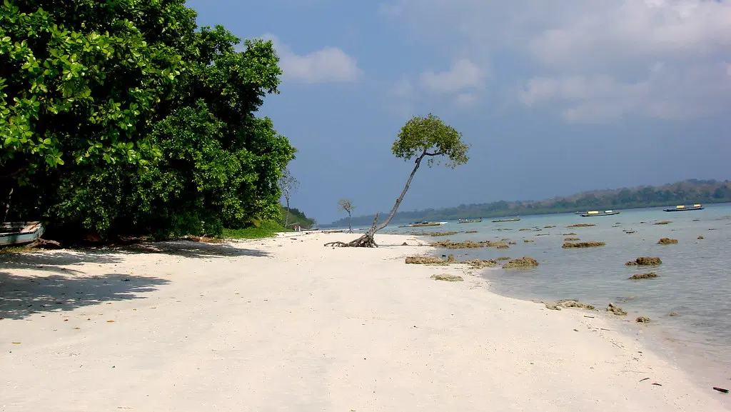 Relax on Pristine Beaches