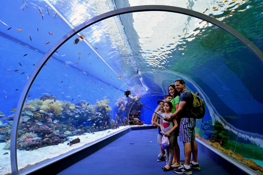Stroll through the aquarium with your family