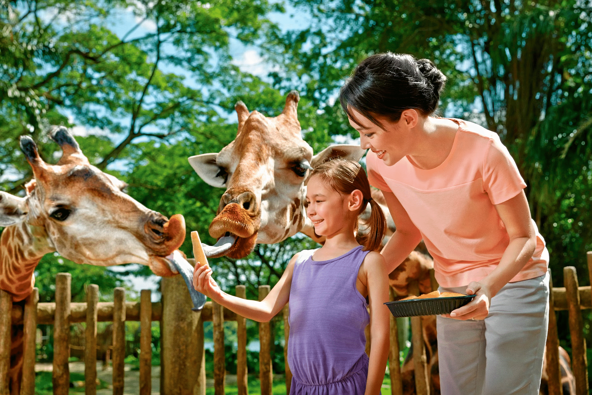 children with giraffe at singapore zoo