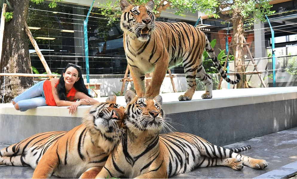 Pattaya Tiger Park Tickets Image