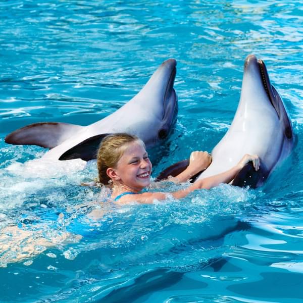 Watch your kids playing around with Dolphins inside the pool