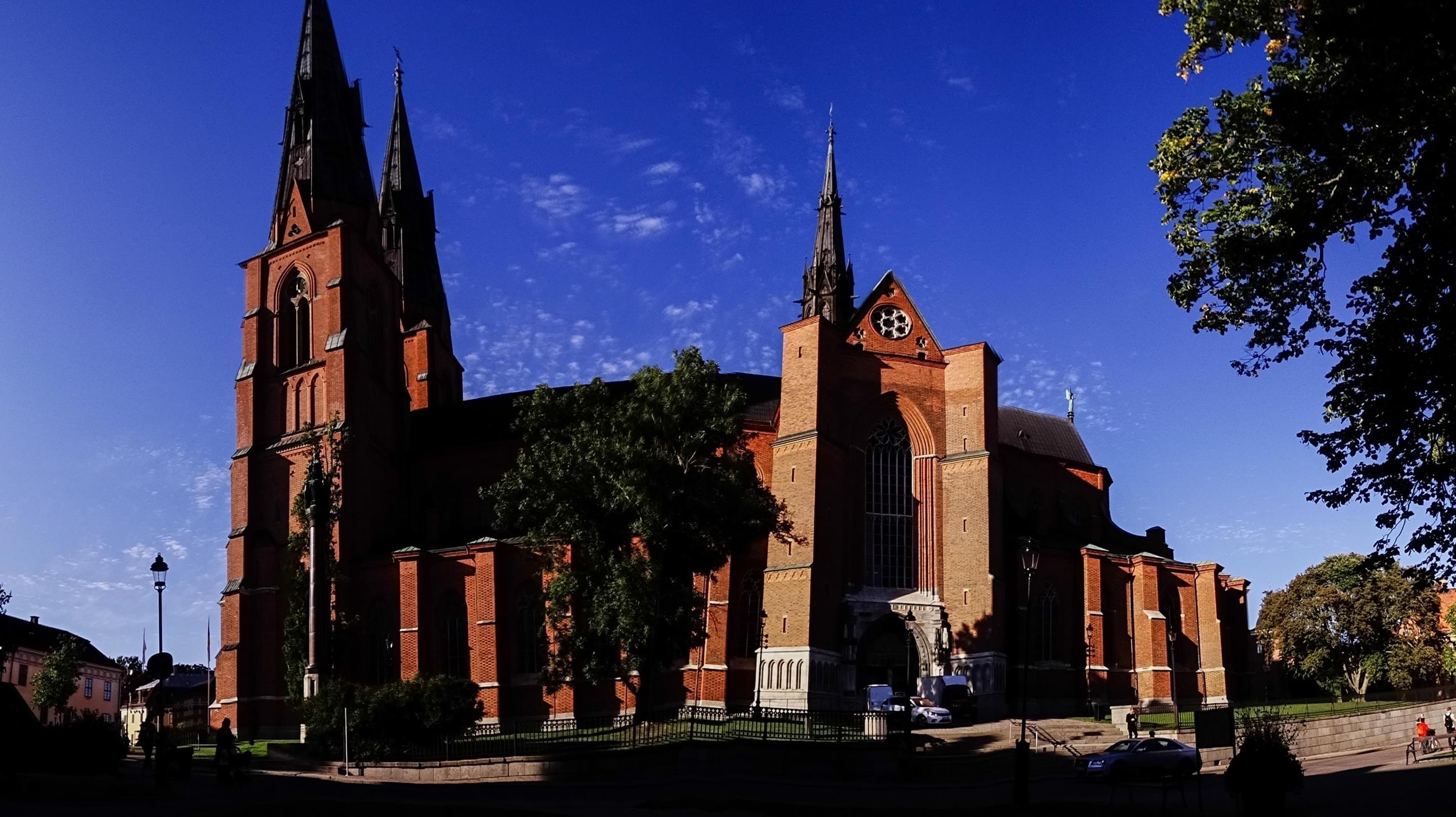 Uppsala Cathedral Overview