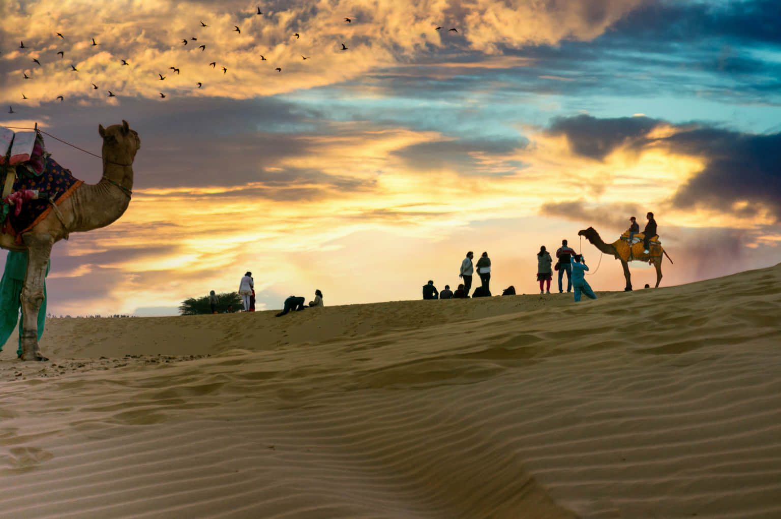 <em>Bikaner</em> Tour Packages From Coimbatore