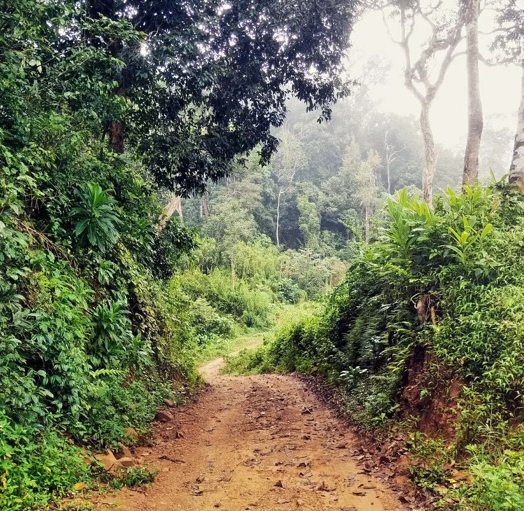 Photo from Saket Mehta's trip