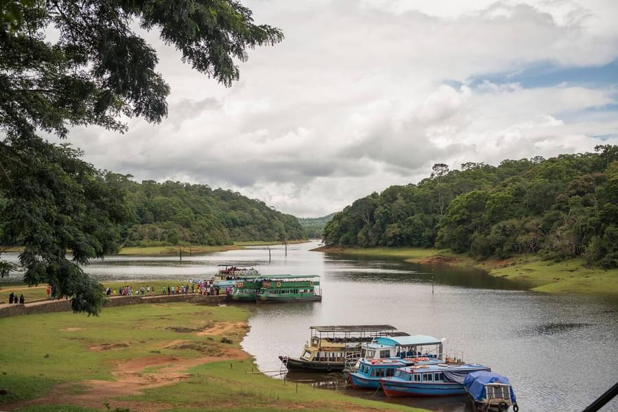 Jeep Ride in Thekkady With Visit to Grape Vineyard Image