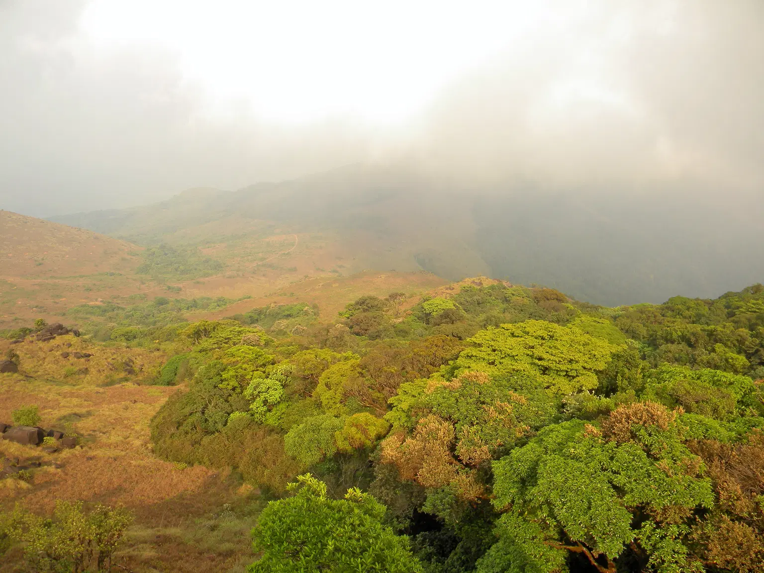 Photo from Satyen Asan's trip