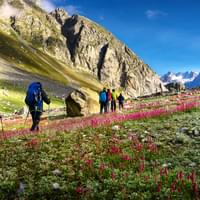 tour-of-himachal-pradesh-with-amritsar-and-chandigarh-visit