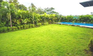 29fu9khvmew3z2gbq85wb01qxnpw z2