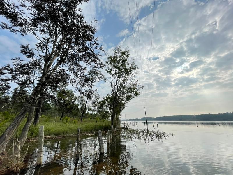 Sakleshpur Camping Experience Image