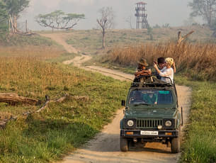 Rajaji National Park Safari from Dehradun
