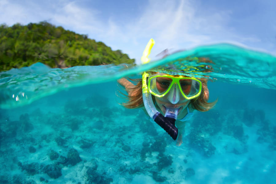 Grand Island Goa Tour With Snorkeling Image