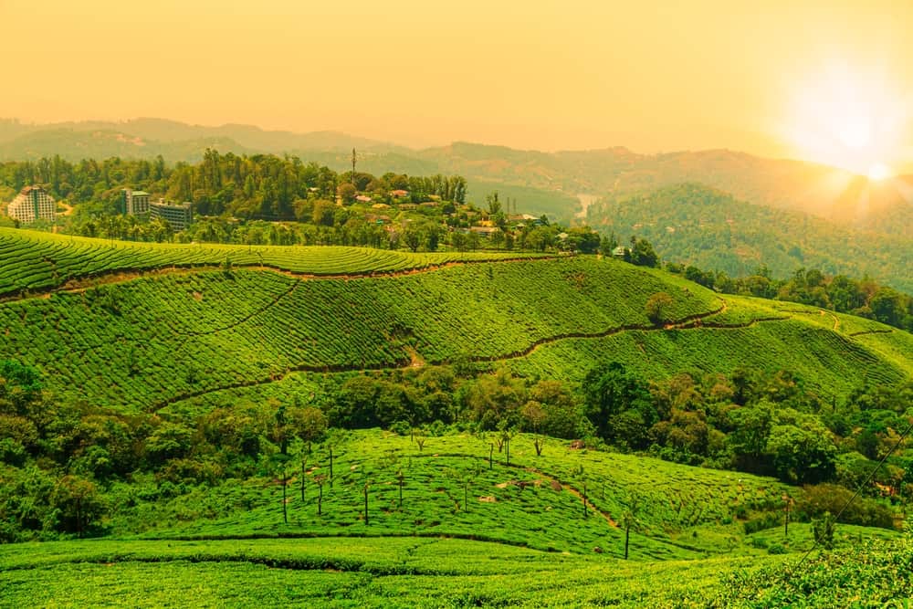 Munnar