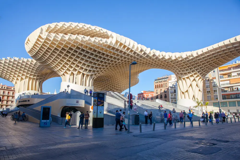 The Mushrooms of Seville