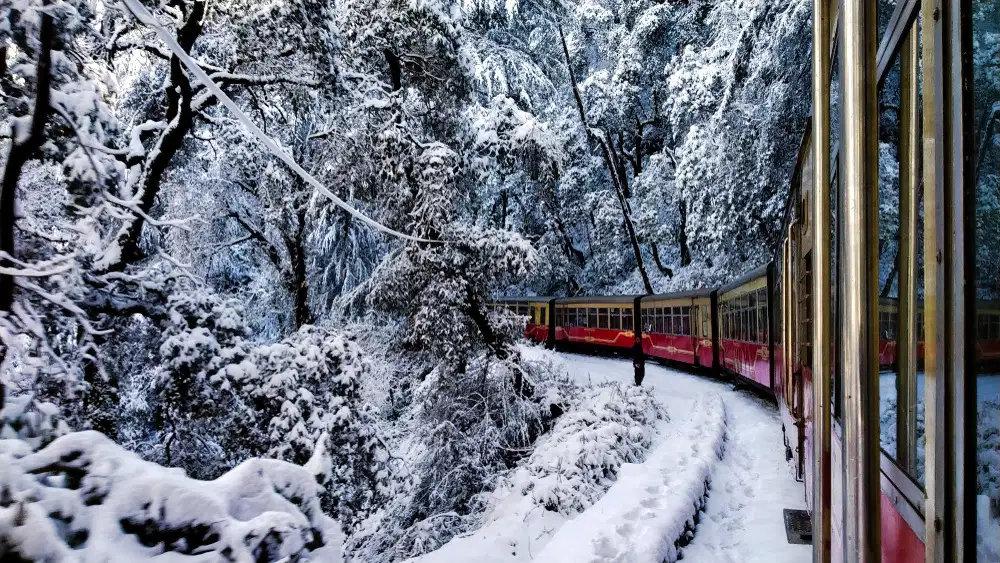 North India Tour Package From Bangalore