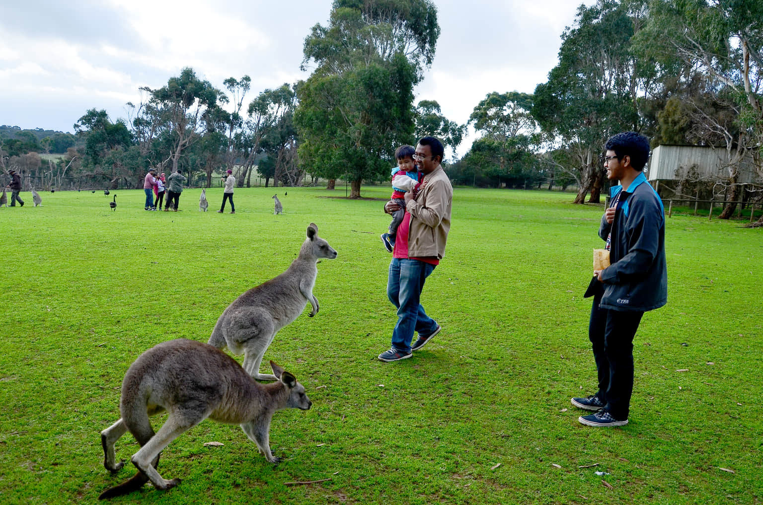 Animal Encounters