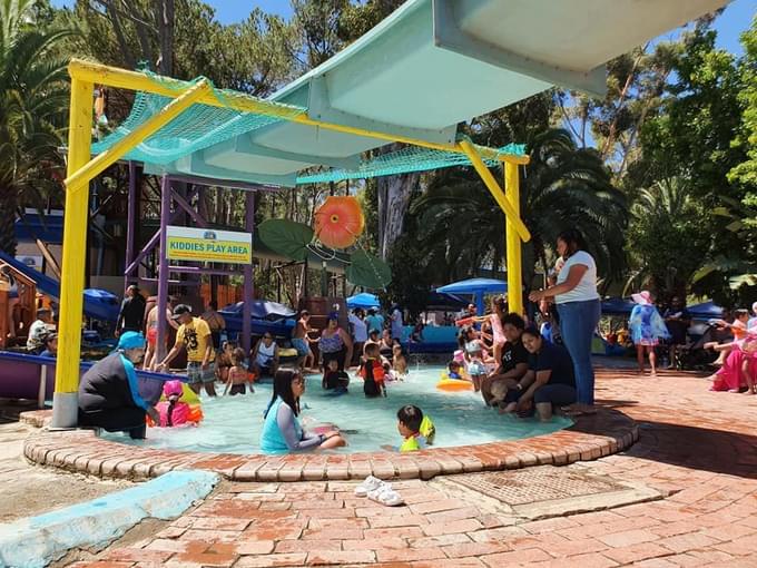 Things To Do In Cape Town With Kids