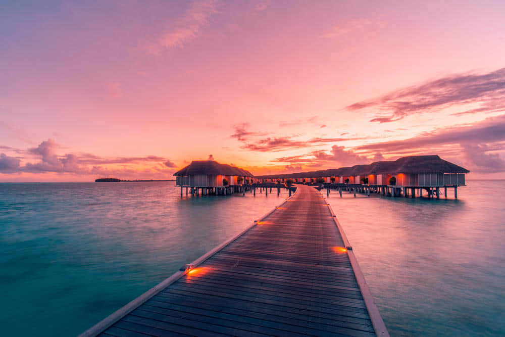 Water Villas Upto 50% Off