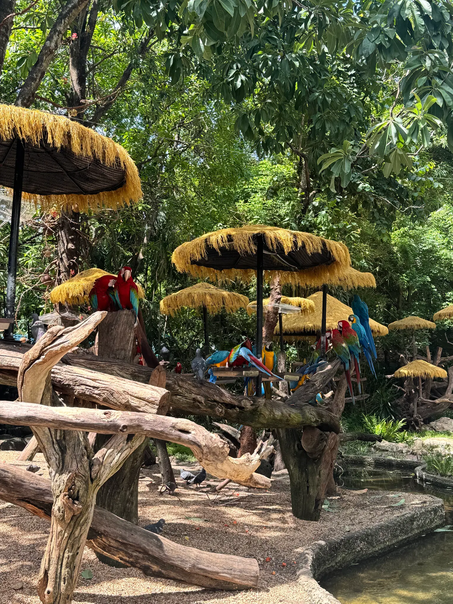 Photo from Julienne Avecilla's trip