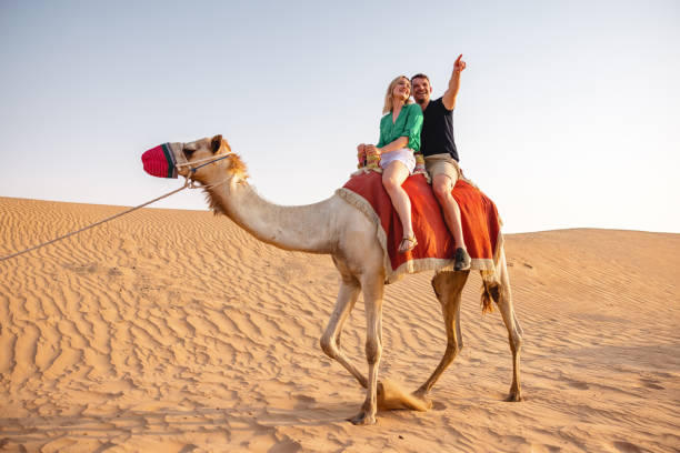 Camel Safari in Dubai