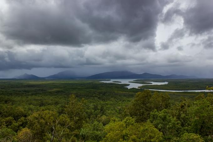 Skyrail Rainforest Cableway