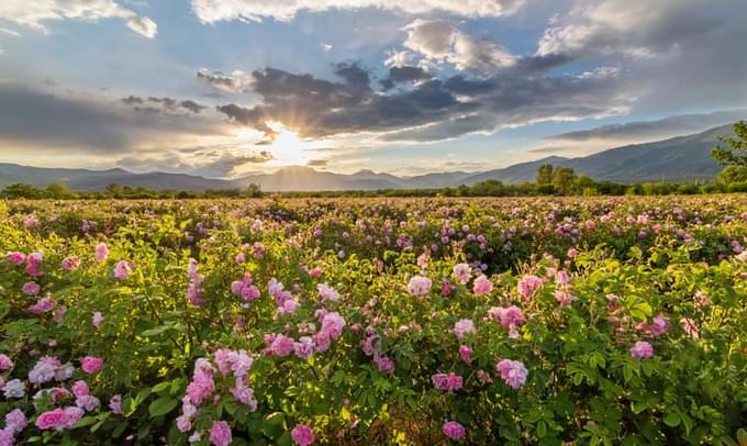 Sunset Viewpoint in Rose Valley