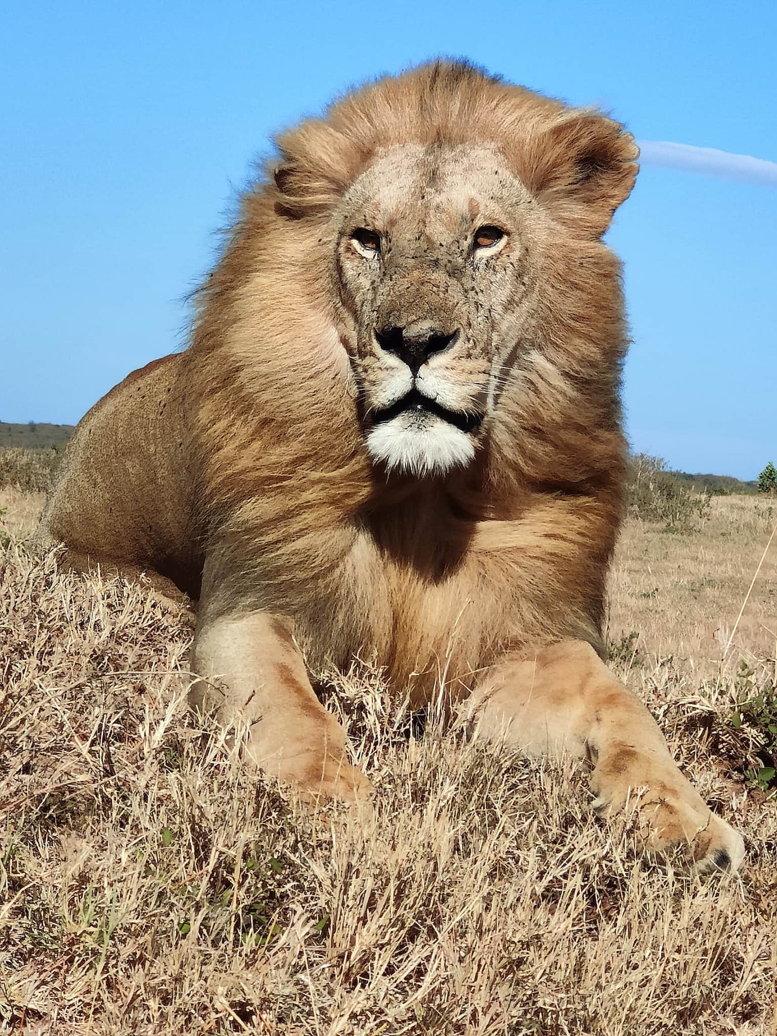 Photo from SAGAR SHAH's trip