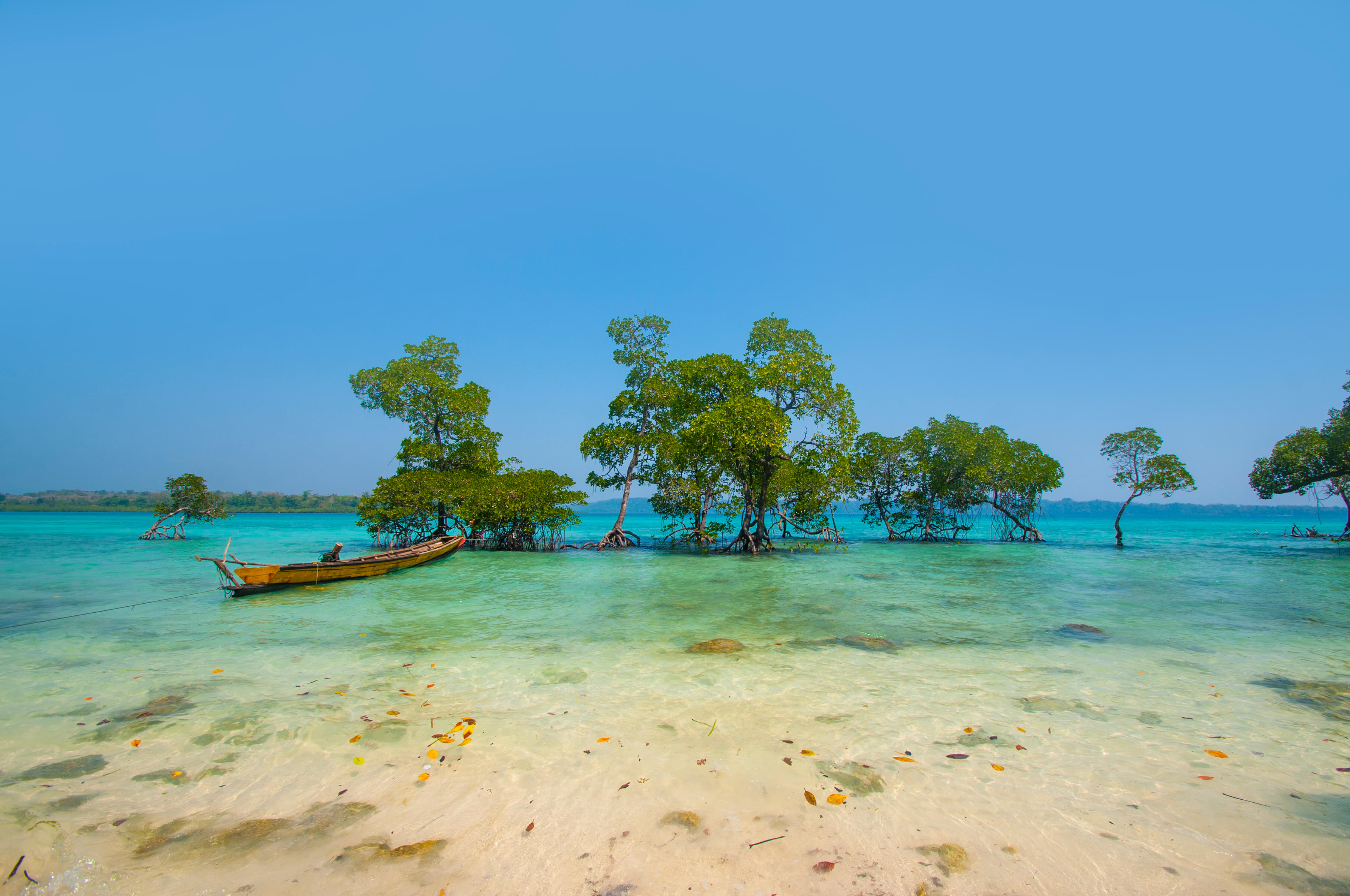Andaman and Nicobar Packages from Chennai | Get Upto 50% Off