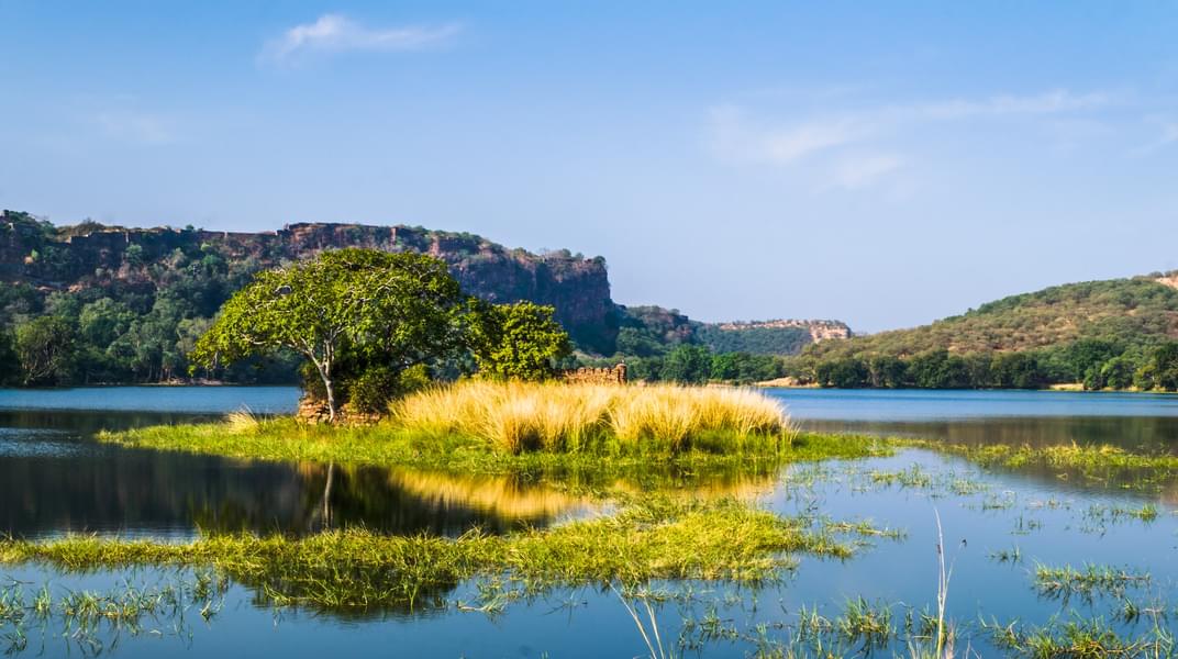 Ranthambore National Park Visit From Jaipur Image