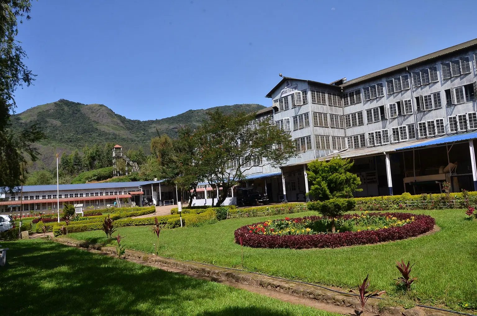 Lockhart Tea Factory