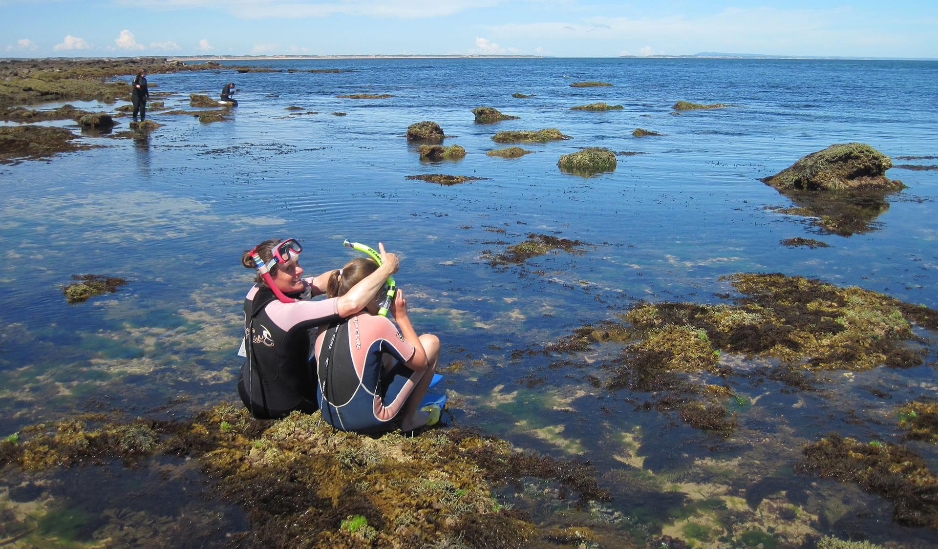 Explore Marengo Reefs Marine Sanctuary