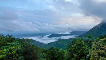 2ev54kl2s9jcuga2m4fs1i25h1zp palakkayam thattu paradise found20190831101025 941 1